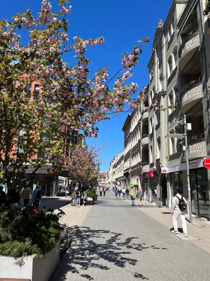 Sloneczny Apartament Centrum Poznania Klimatyzacja Wi-Fi Tv Zmywarka Pralka Piekarnik Exterior foto